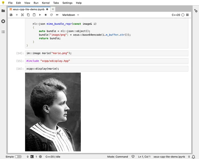 Rich mime type rendering feature of the Xeus-Cpp kernel